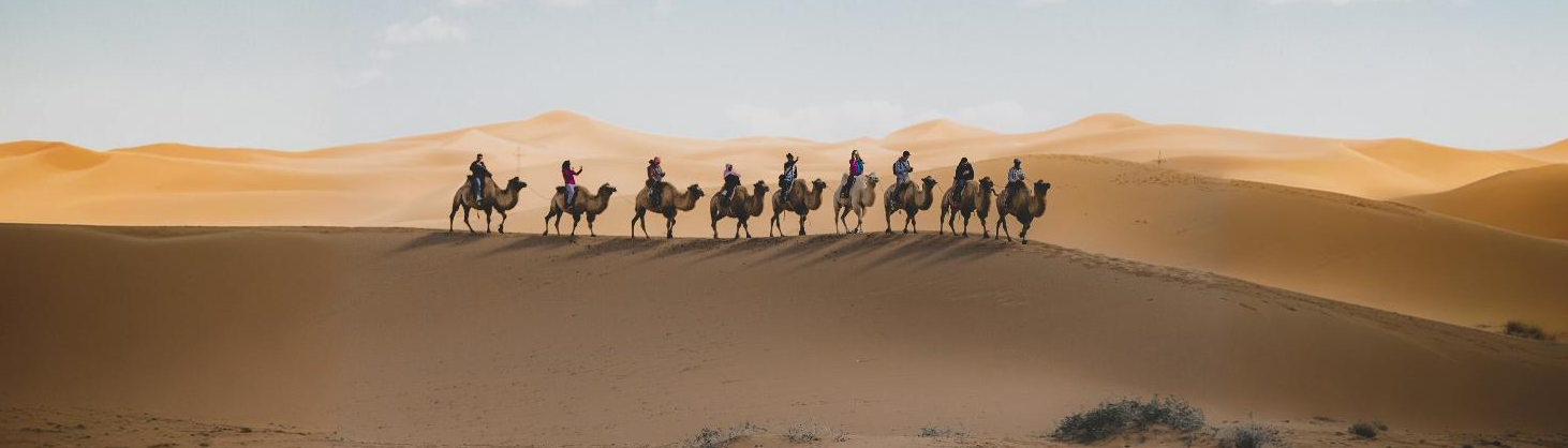 men on camel